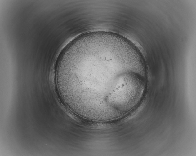 X0000111940933200908101159