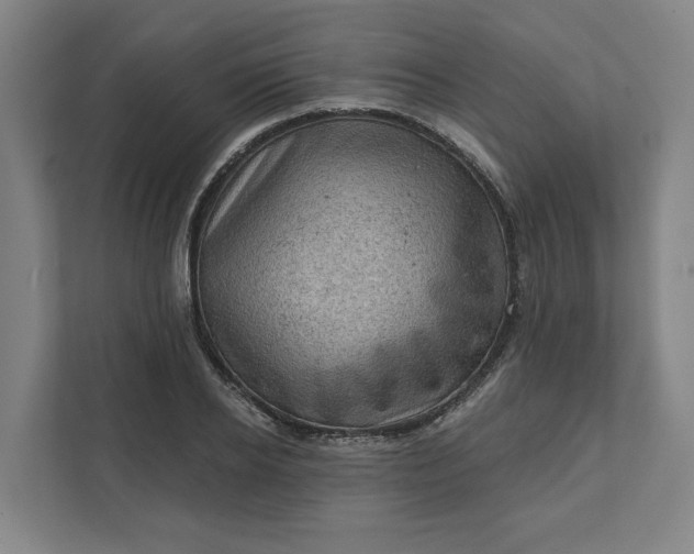 X0000111940934200908101159