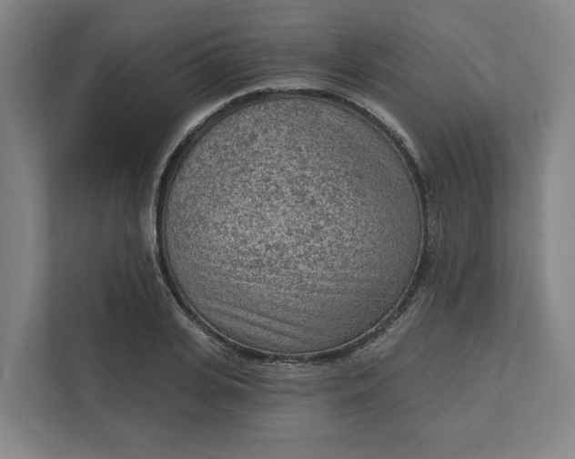 X0000111940935200908101159