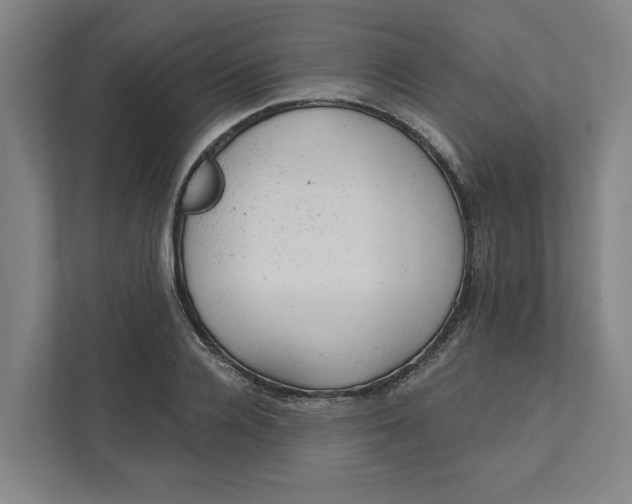 X0000111940936200908101159