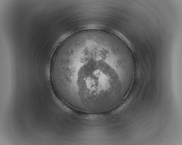 X0000111940938200908101159