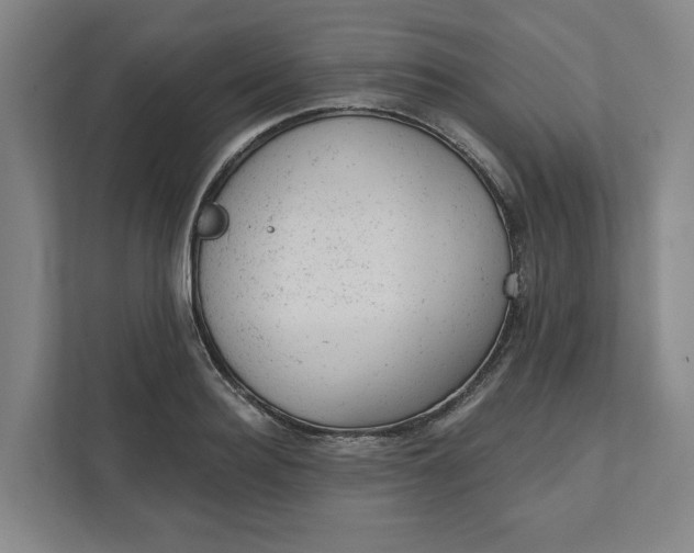 X0000111940940200908101159