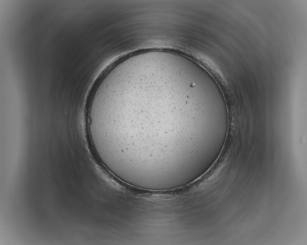 X0000111940942200908101159