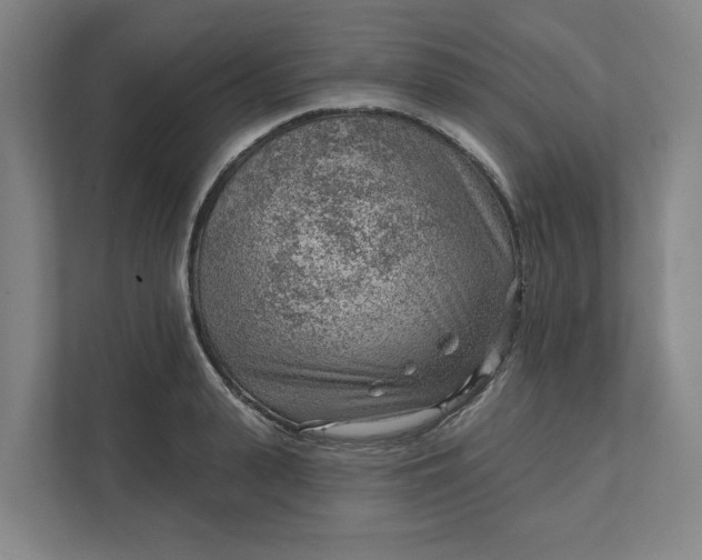 X0000111940943200908101159