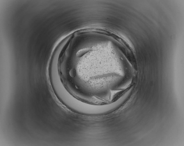 X0000111940944200908101159