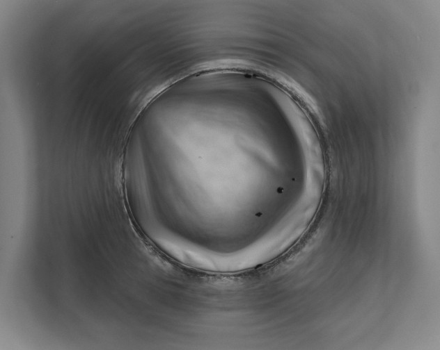 X0000111940945200908101159