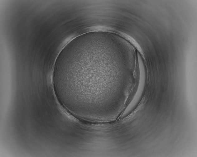 X0000111940946200908101159