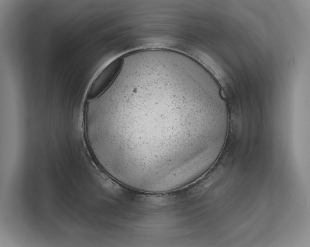 X0000111940948200908101159