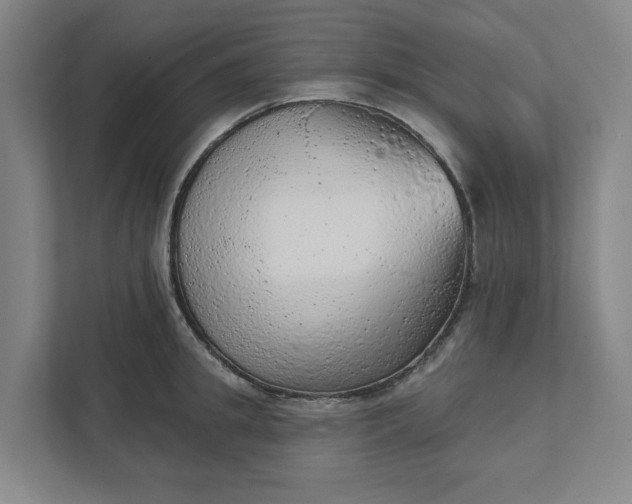 X0000111940949200908101159