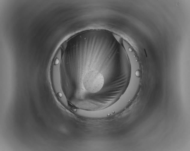 X0000111940950200908101159