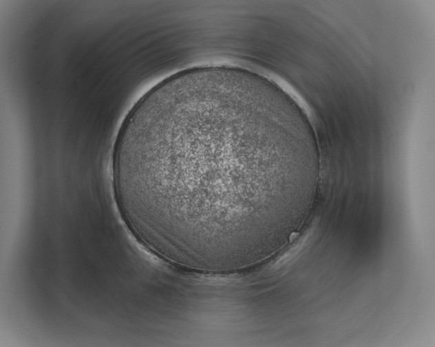 X0000111940951200908101159