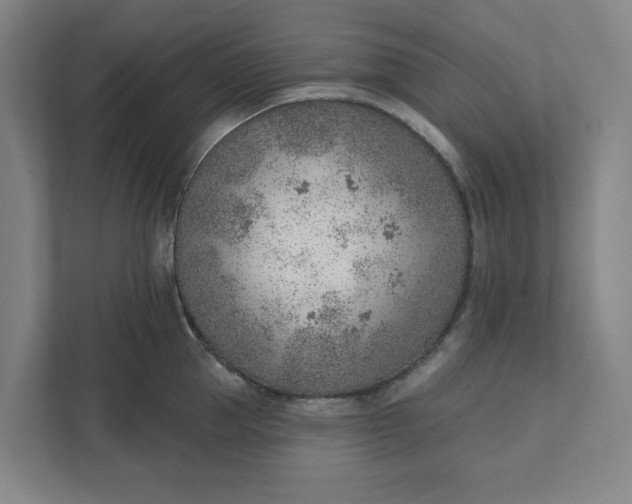 X0000111940953200908101159