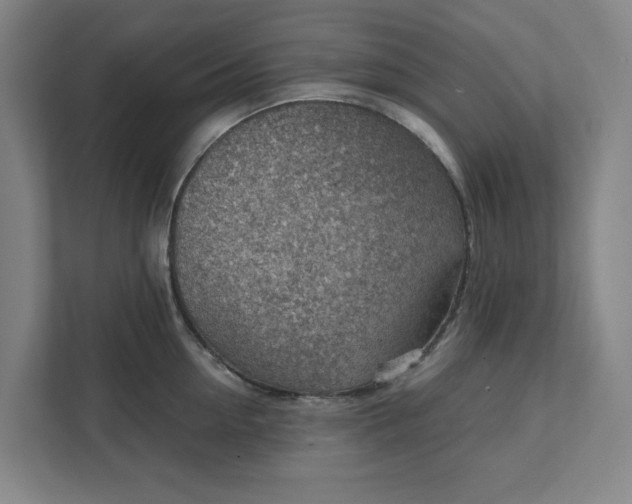 X0000111940954200908101159