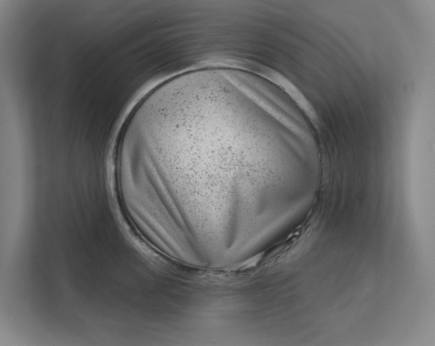 X0000111940955200908101159