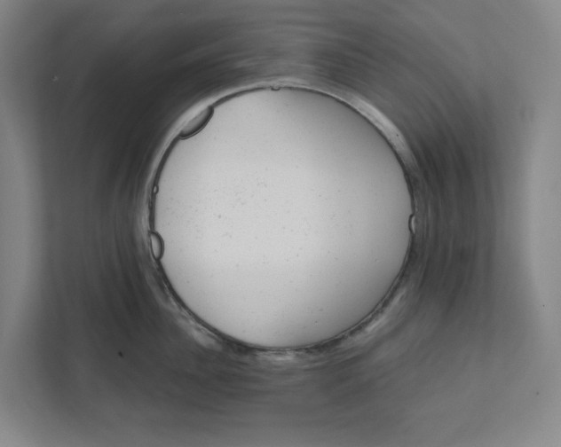 X0000111940956200908101159