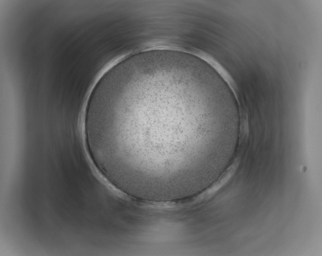 X0000111940957200908101159