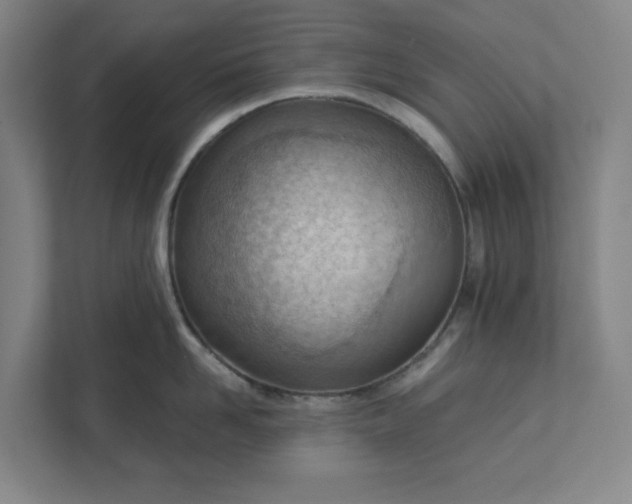 X0000111940958200908101159