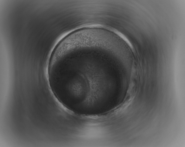 X0000111940959200908101159