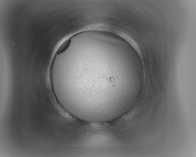 X0000111940960200908101159