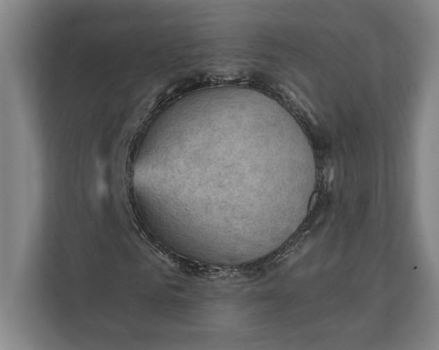 X0000111940961200908101158