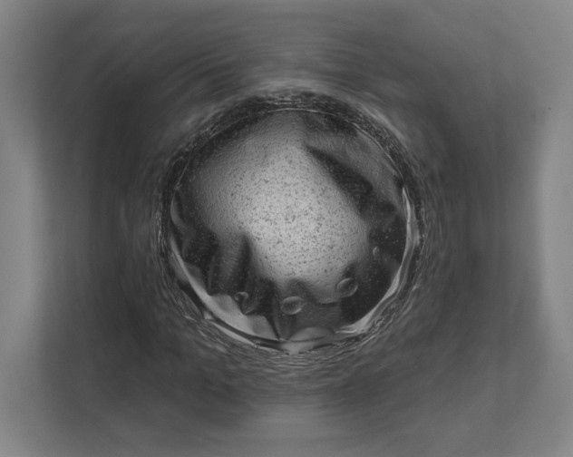 X0000111940965200908101158