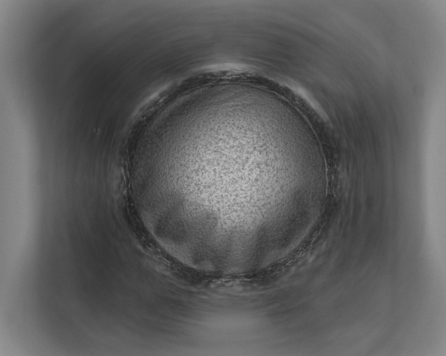 X0000111940967200908101158