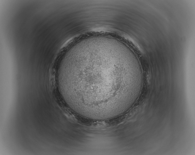 X0000111940968200908101158