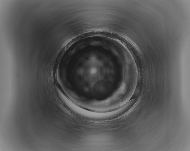 X0000111940969200908101158