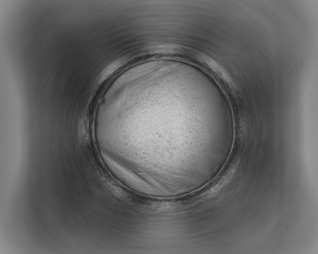 X0000111940970200908101158