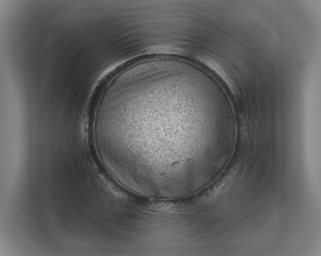 X0000111940971200908101158