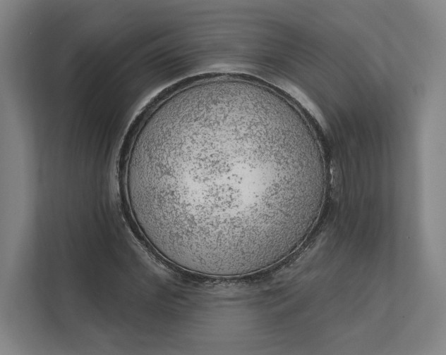 X0000111940972200908101158