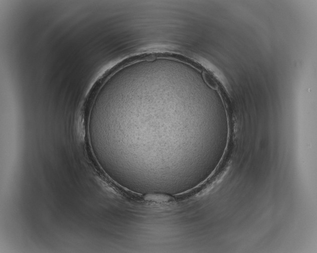 X0000111940973200908101158