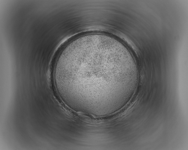 X0000111940975200908101158