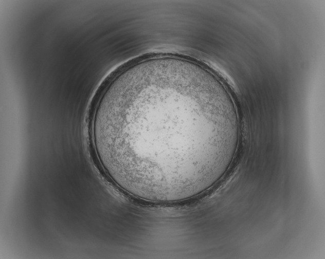 X0000111940976200908101158