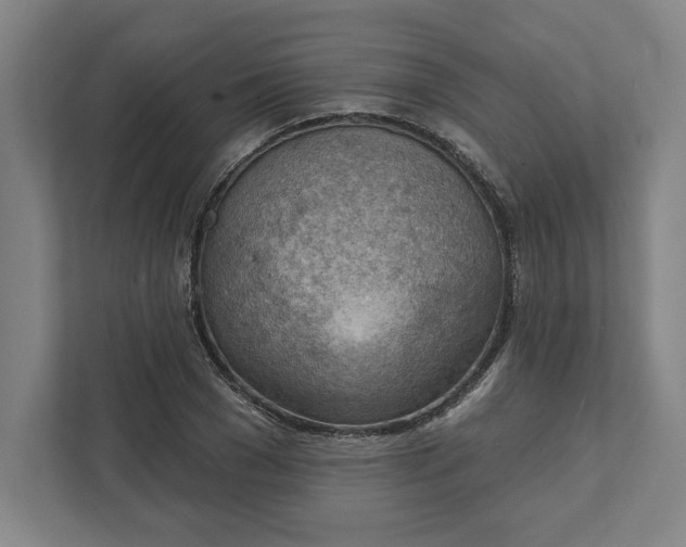 X0000111940977200908101158