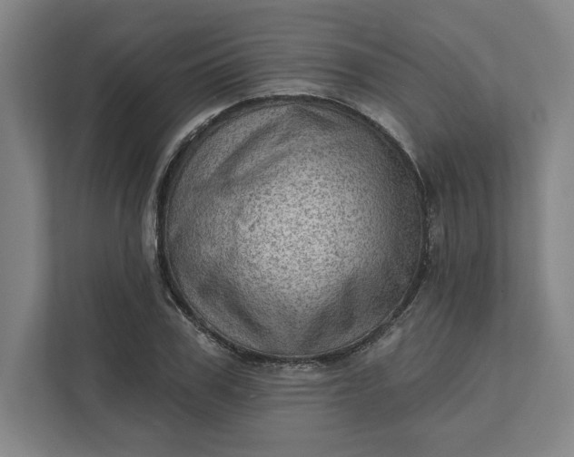 X0000111940979200908101158