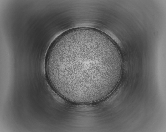 X0000111940980200908101158