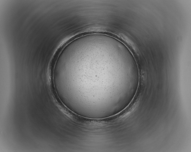 X0000111940981200908101158