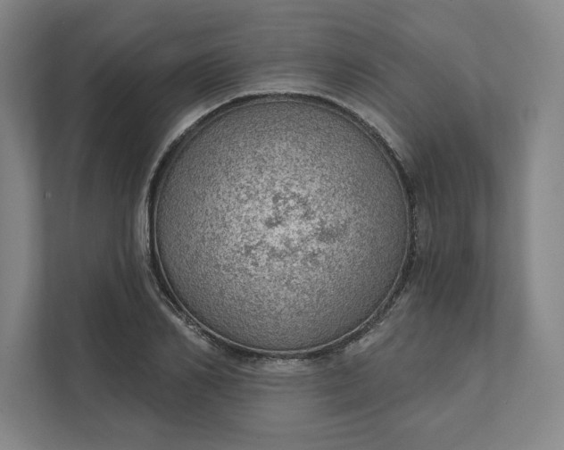 X0000111940982200908101158