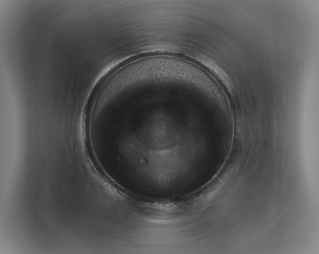 X0000111940983200908101158