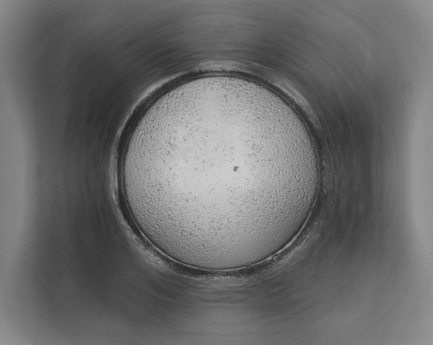 X0000111940984200908101158