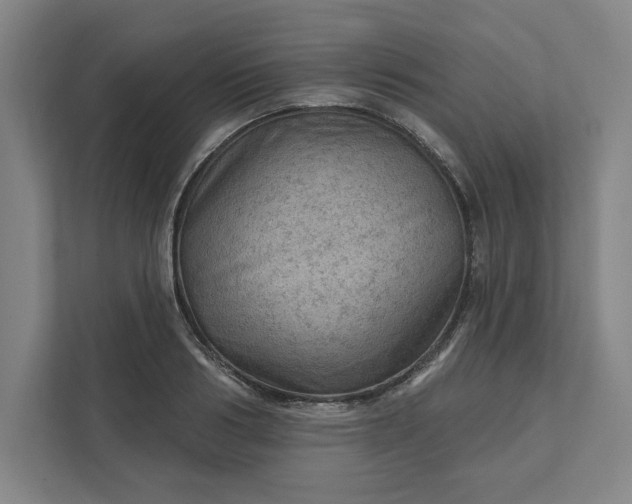 X0000111940986200908101158