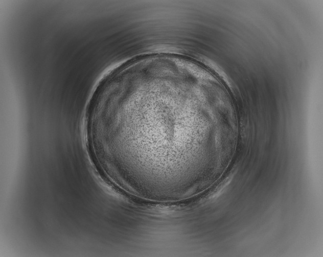 X0000111940987200908101158