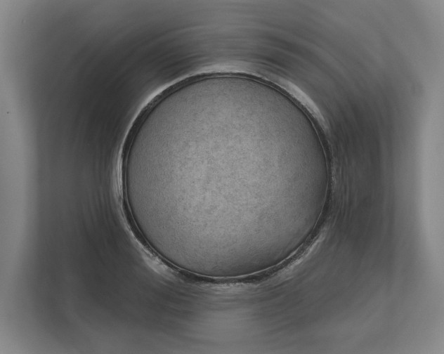 X0000111940988200908101158