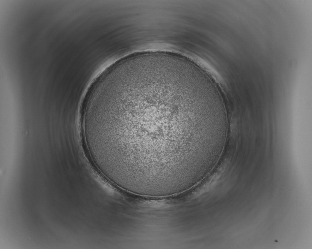 X0000111940990200908101158