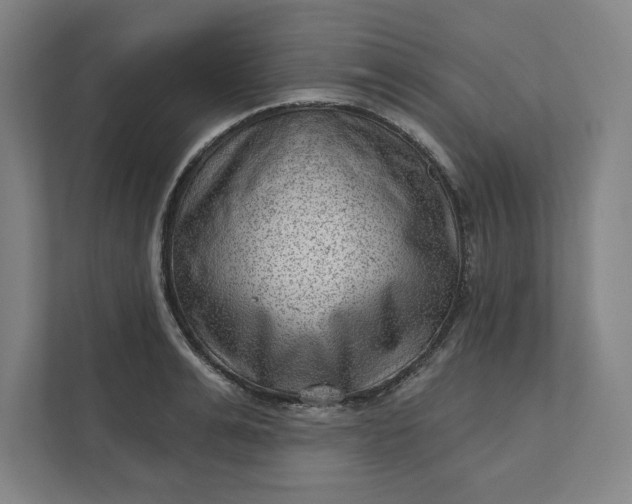 X0000111940991200908101158