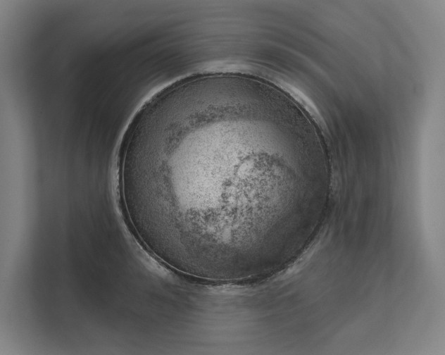 X0000111940992200908101158