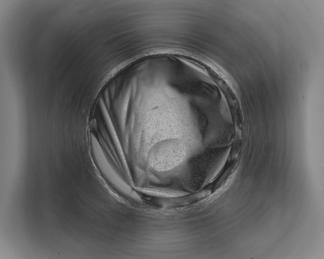 X0000111940993200908101158