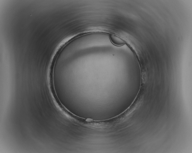 X0000111940995200908101158