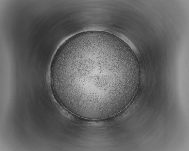 X0000111940996200908101158